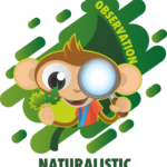 Naturalistic and Observation Workshop